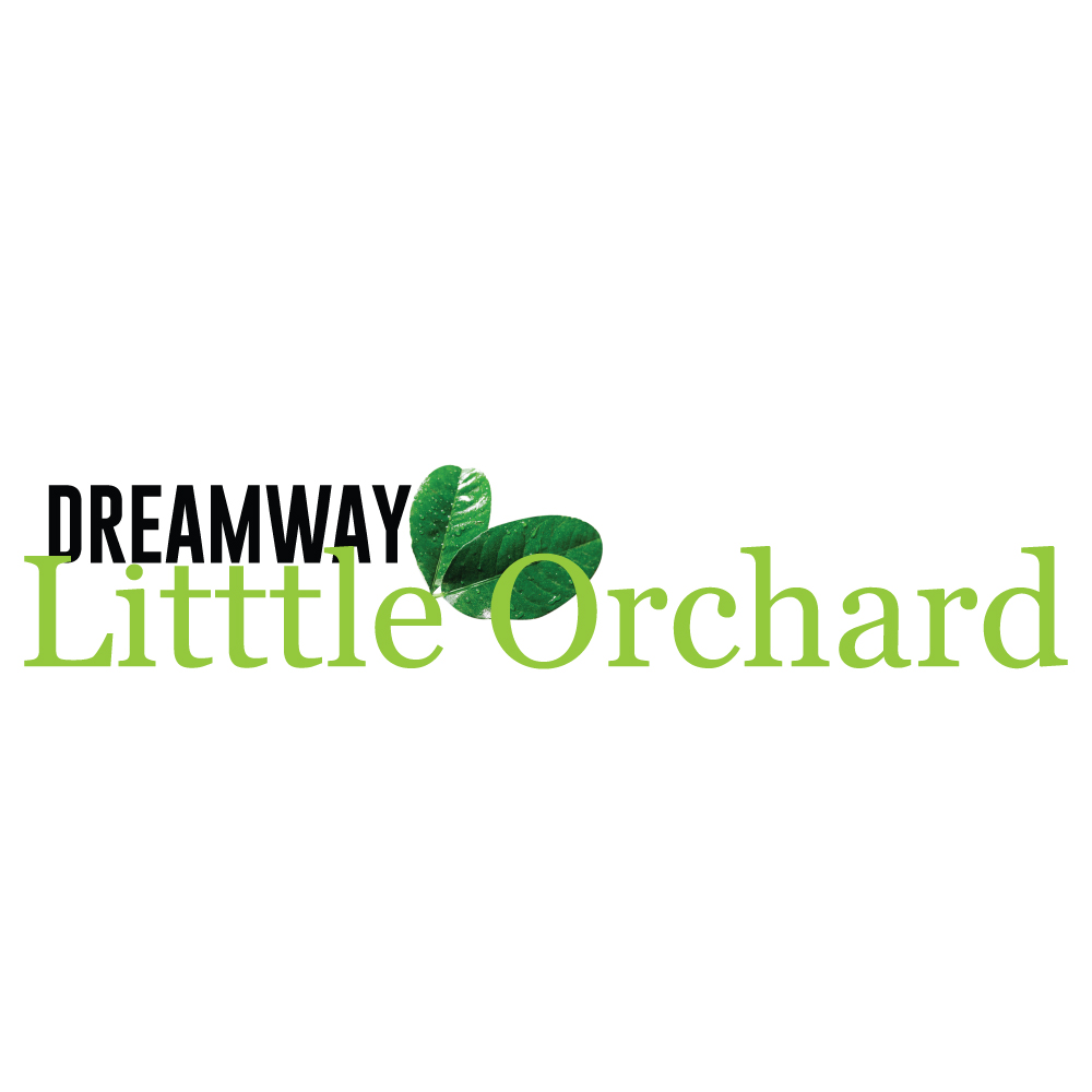 The image shows a logo with the words Dreamway Littlle Orchard. The word Dreamway is in black, while Littlle Orchard is in green with two green leaves incorporated above the letter t. -Dreamway